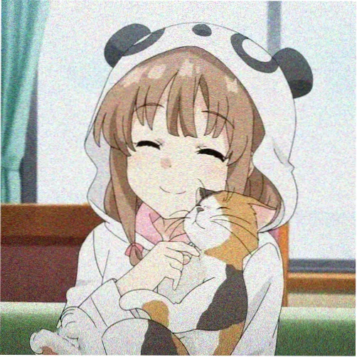 观众禾木的头像